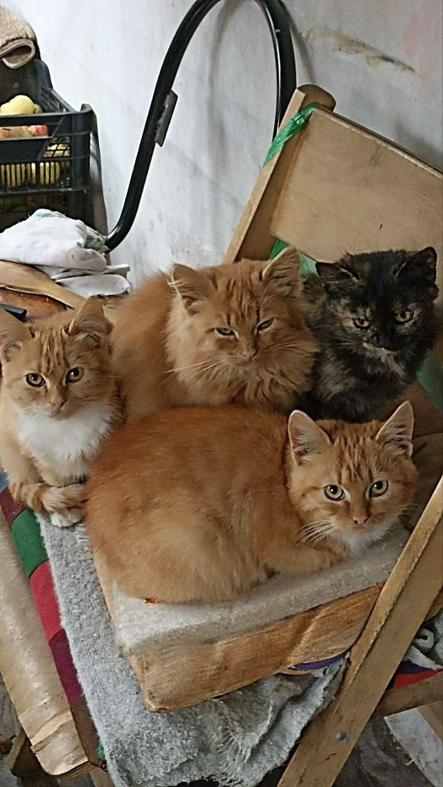 Помогаю информационно!
Нужна помощь как можно быстрее...