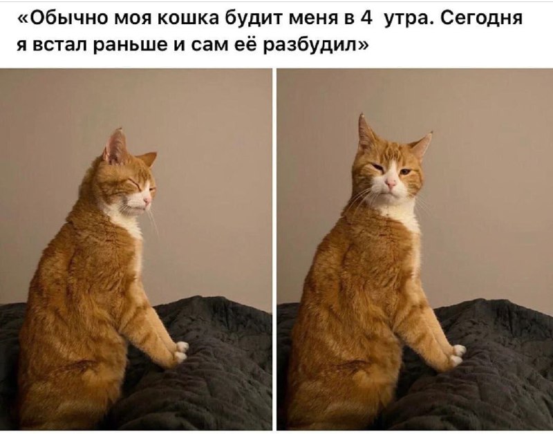 Так вот ты какой человек. С гнильцой