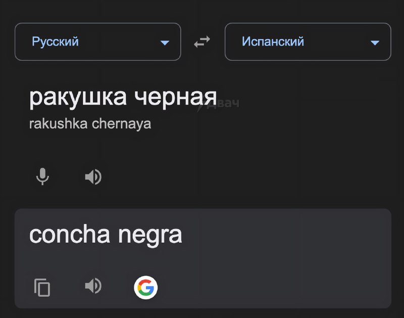 Урок испанского на Дваче