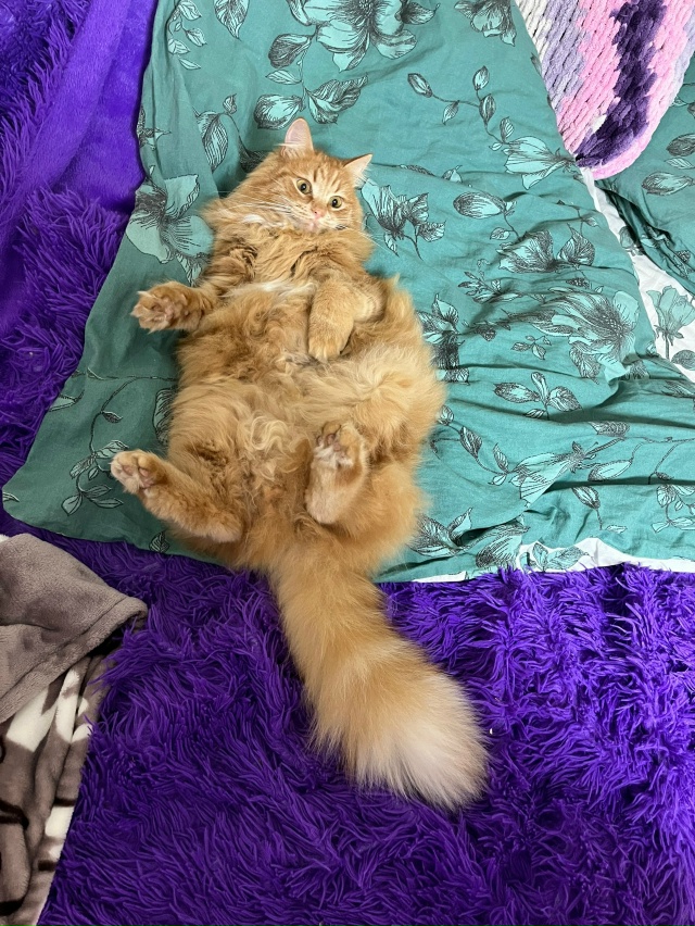 Филимон❤️
Мам! Ну что, еще будут какие процедуры или м?...