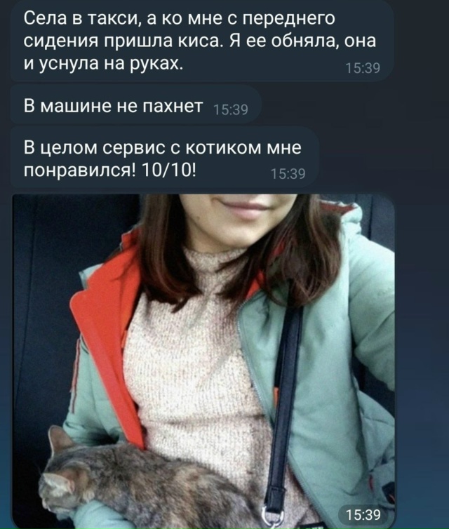 Прекрасный компаньон