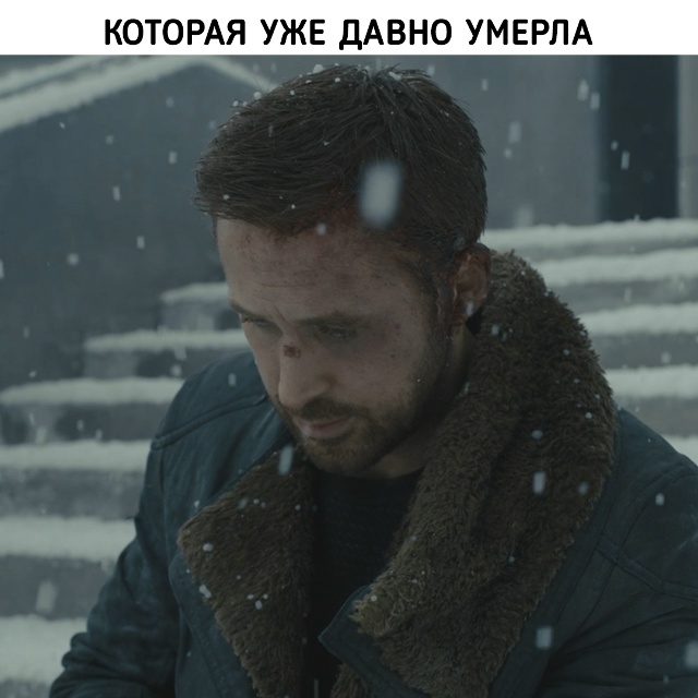 Такова жизнь...