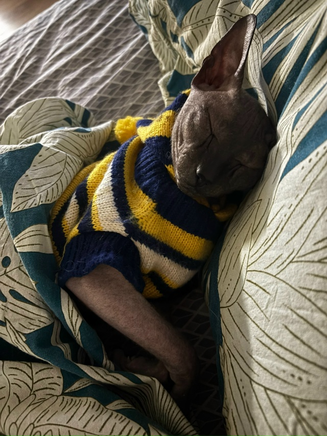 Арчер, немного всрат, но в основном - постельный клоп❤??...