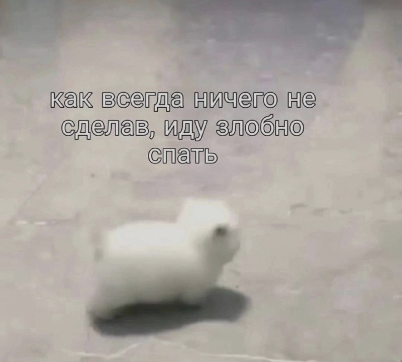 Ночная подборочка
Спать, режим