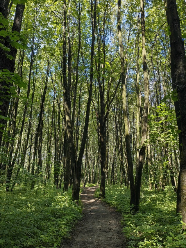 Павловский парк