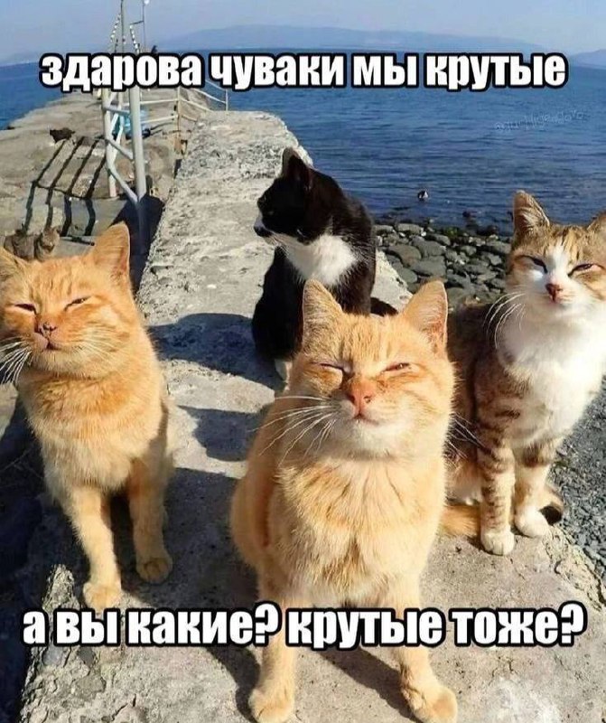 Утренняя подборочка