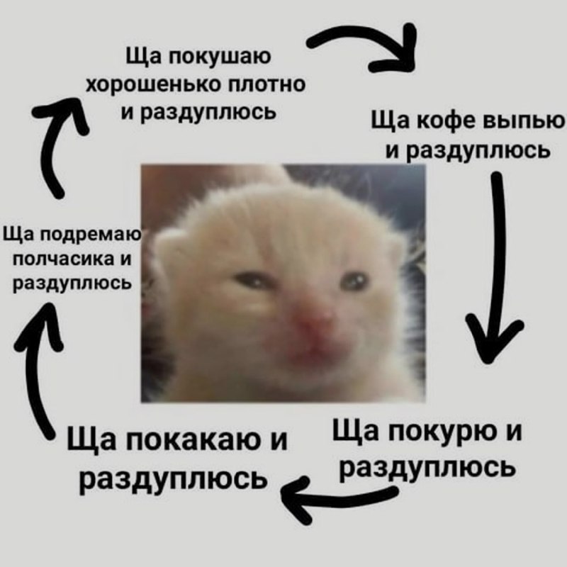 Ночная подборочка
Спать, режим