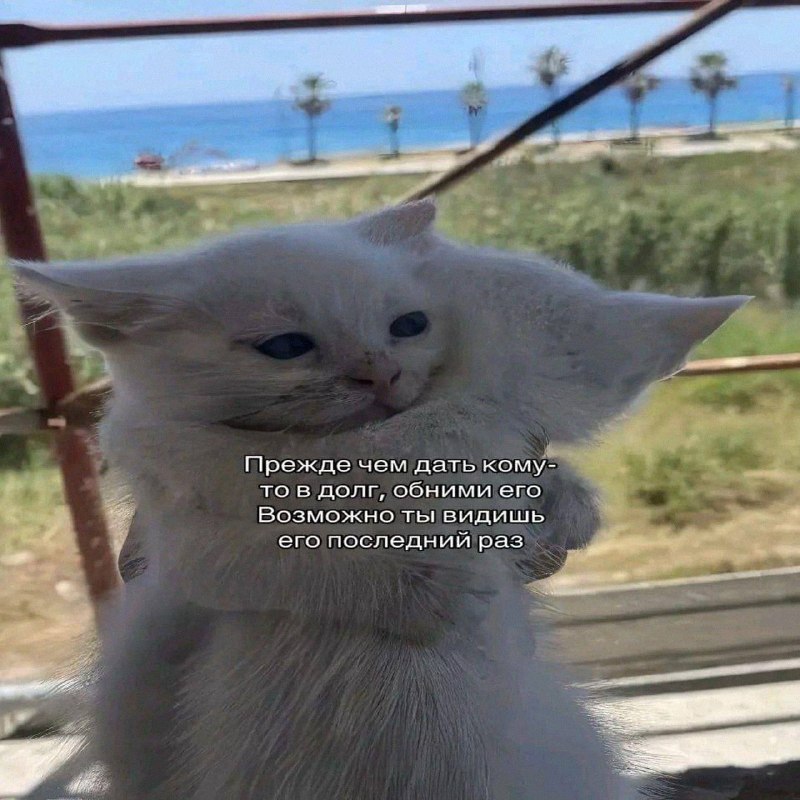 Утренняя подборочка
