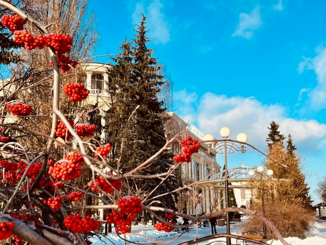 ❄ С первым днём зимы, дорогие куряне!
🤍Пусть этот ден?...