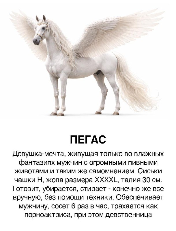 Год лошади, поэтому по традиции, «Девушки как лошадки»
Кто ты? И отправляй подружаням