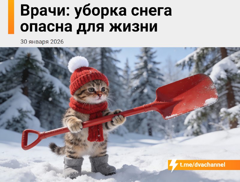 ❗️Уборка снега может быть смертельно опасна, предупредили врачи
Это тяжёлая нагрузка для сердца, ко
