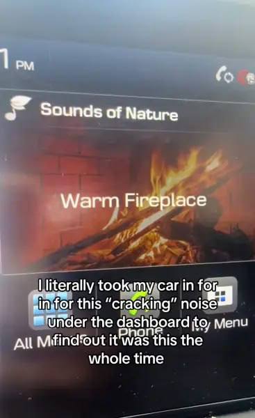 Американка отдала механику 57 тысяч рублей, чтобы тот выяснил почему стучит двигатель. Спойлер: все