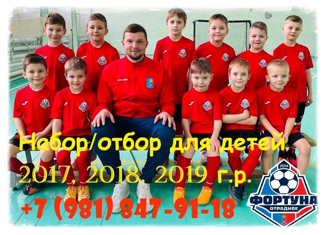 Детская футбольная школа 