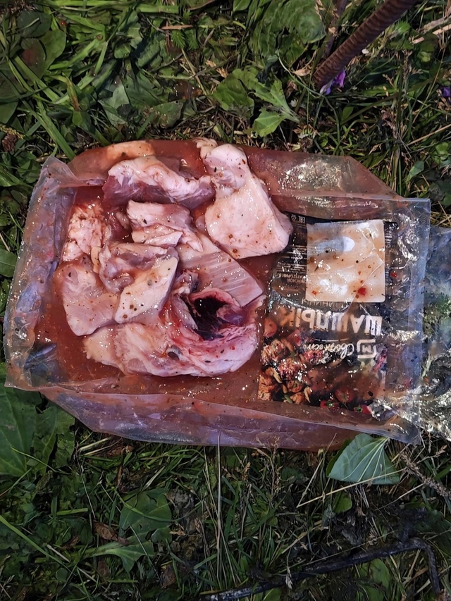 Здравствуйте.  У меня полное негодование и испорченны?...