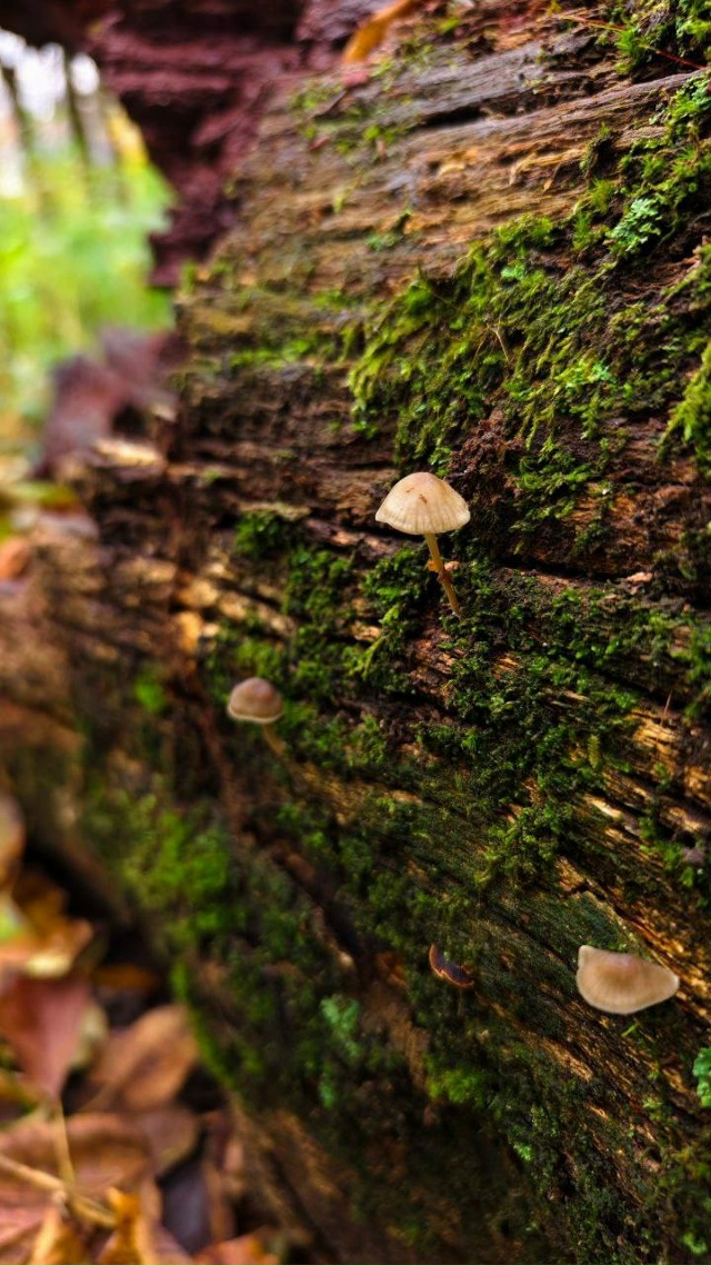 Чудесные осенние пейзажи нашей области
