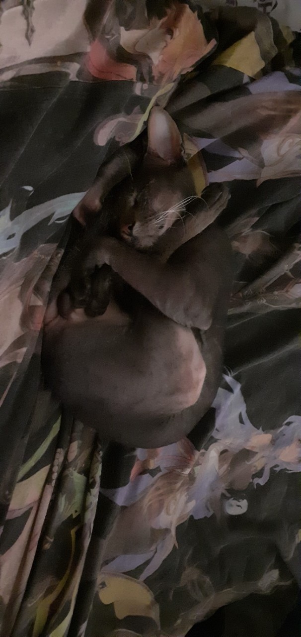 Уроки йоги от Саймона