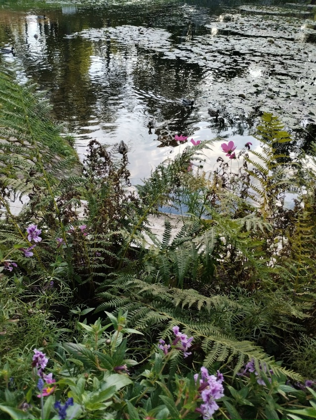 Прогулка по Александрии в тёплый сентябрьский денёк. 27...