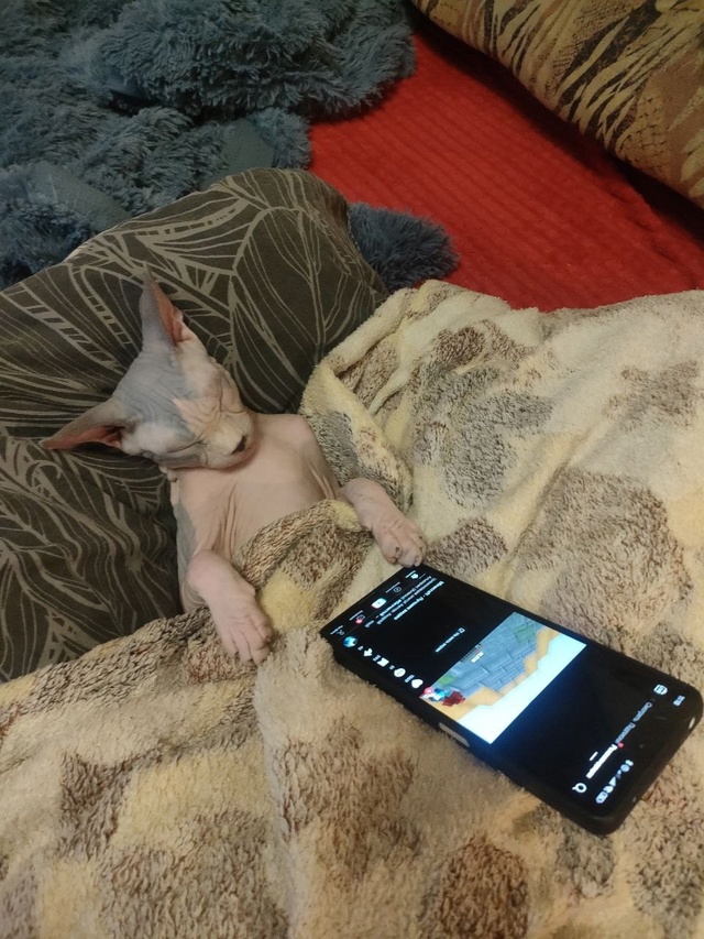 Будем знакомы, Блейд 7 месяцев . А как вы укладывание сп...