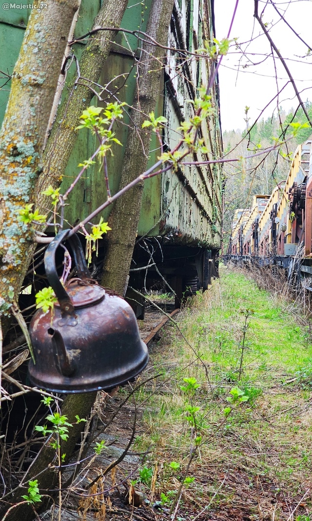 Кладбище паровозов 🚂☠
📸Владимир Каровец