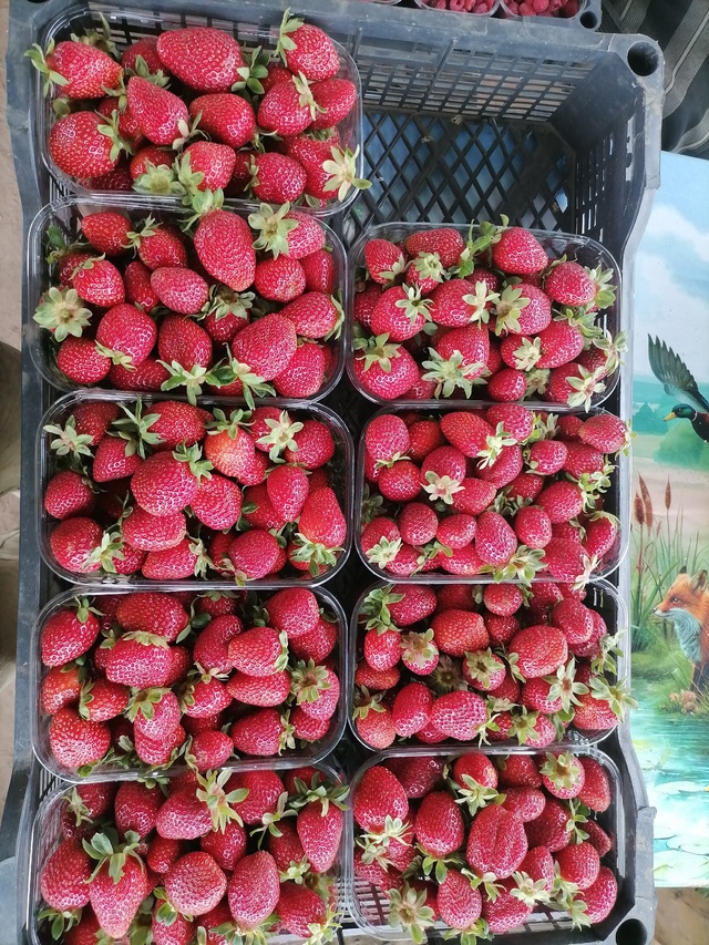 Продам малину, клубнику собранна сегодня т. 89002828343