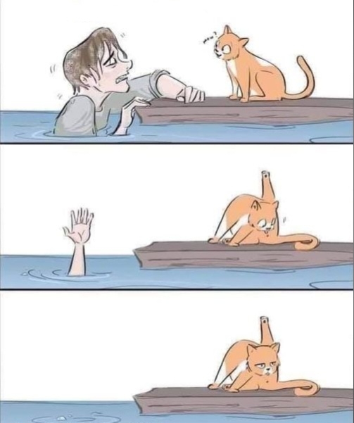 Титаник кошачья версия!