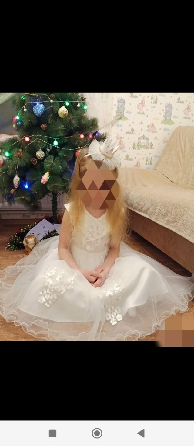 Новогодние костюмы напрокат! Есть много других костюм?...