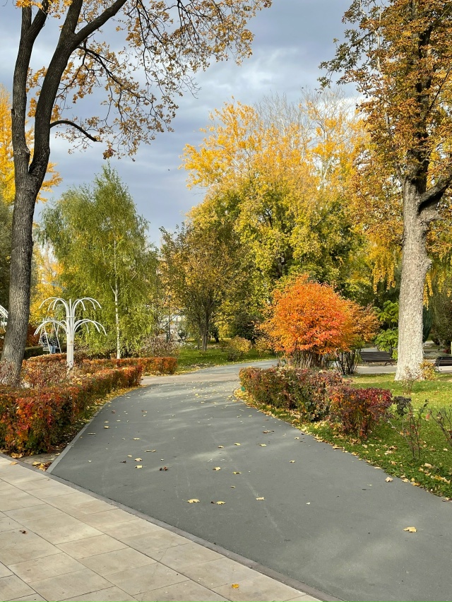 Снова осень 🍂 за окном
📸