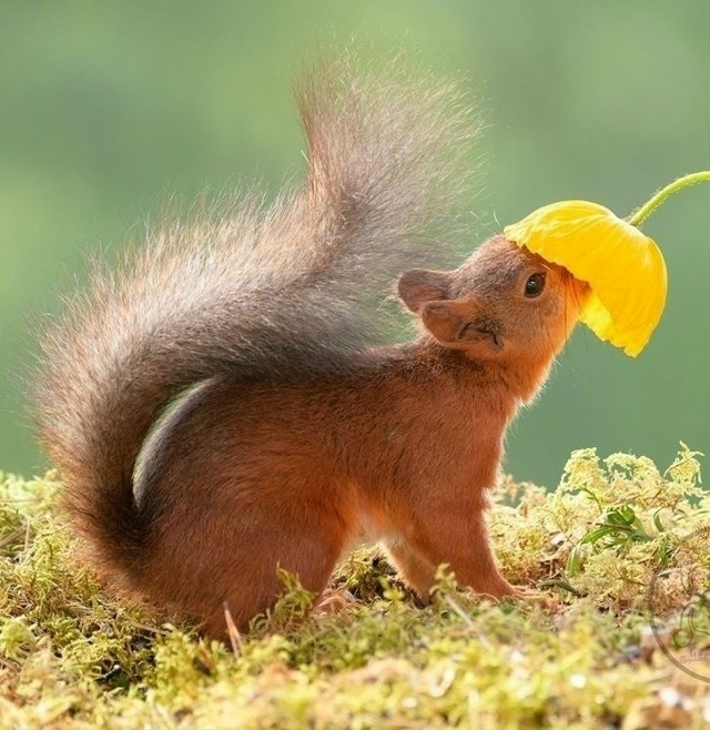 6 лет понадобилось фотографу, чтобы снять такие шикарн?...