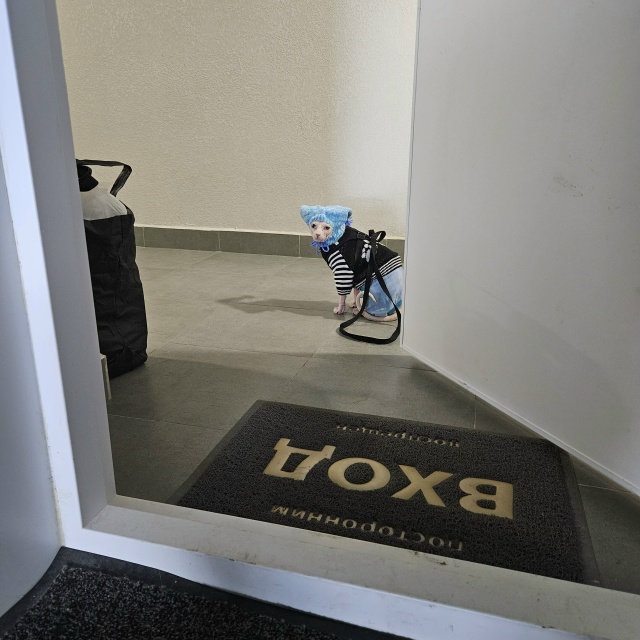 Ты в детстве уже одетый полчаса сидишь около двери, а м?...