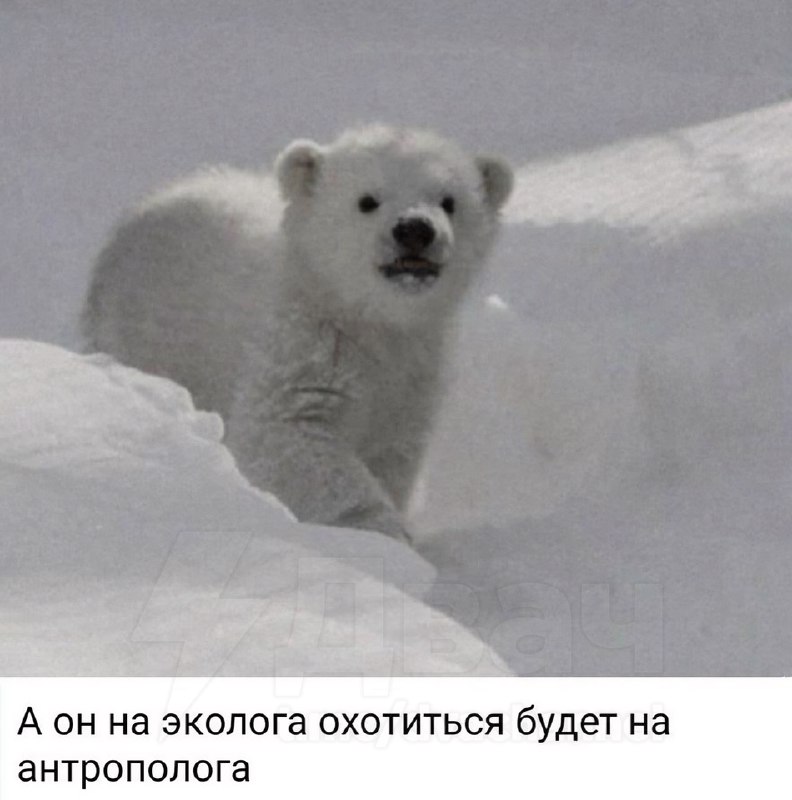 В Интернете появился новый мем