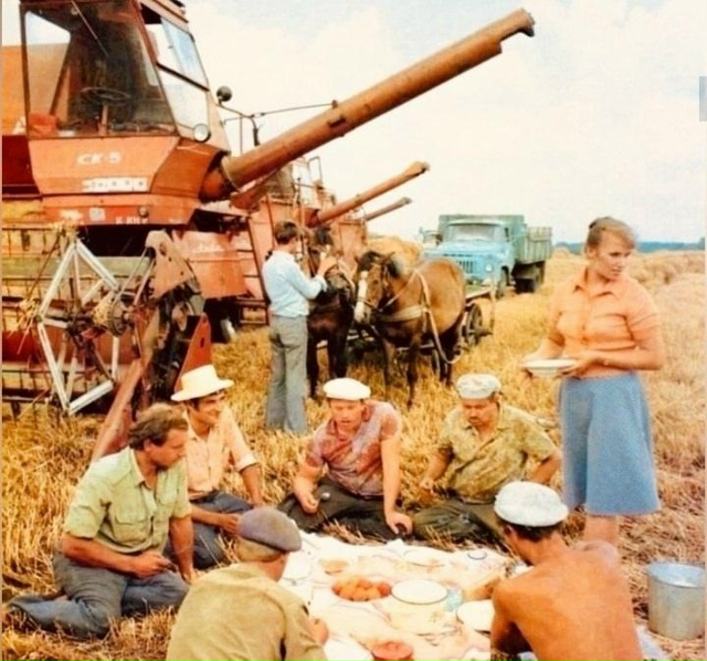 Обед в поле — это воспоминание с душой. Там всё было по-...