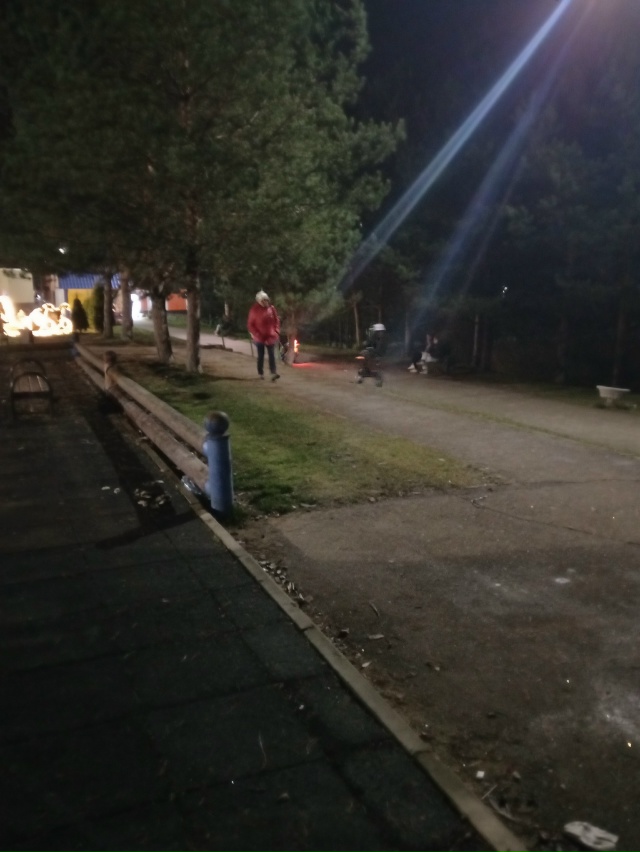 Окола детской площадке гоняли мопеды