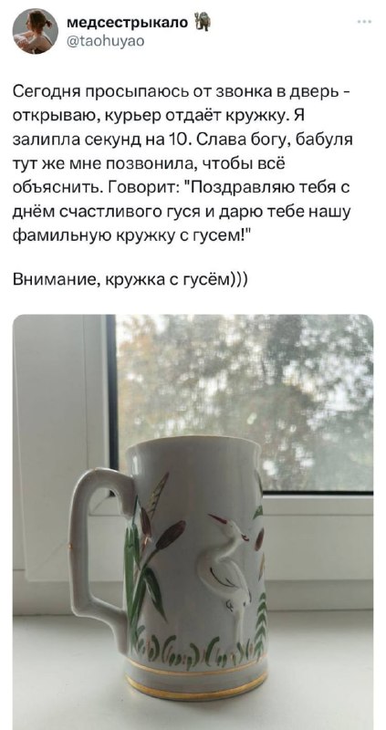 В следующий раз она пришлёт 100 кг кабачков с открыткой «С днём великого кабачкования»