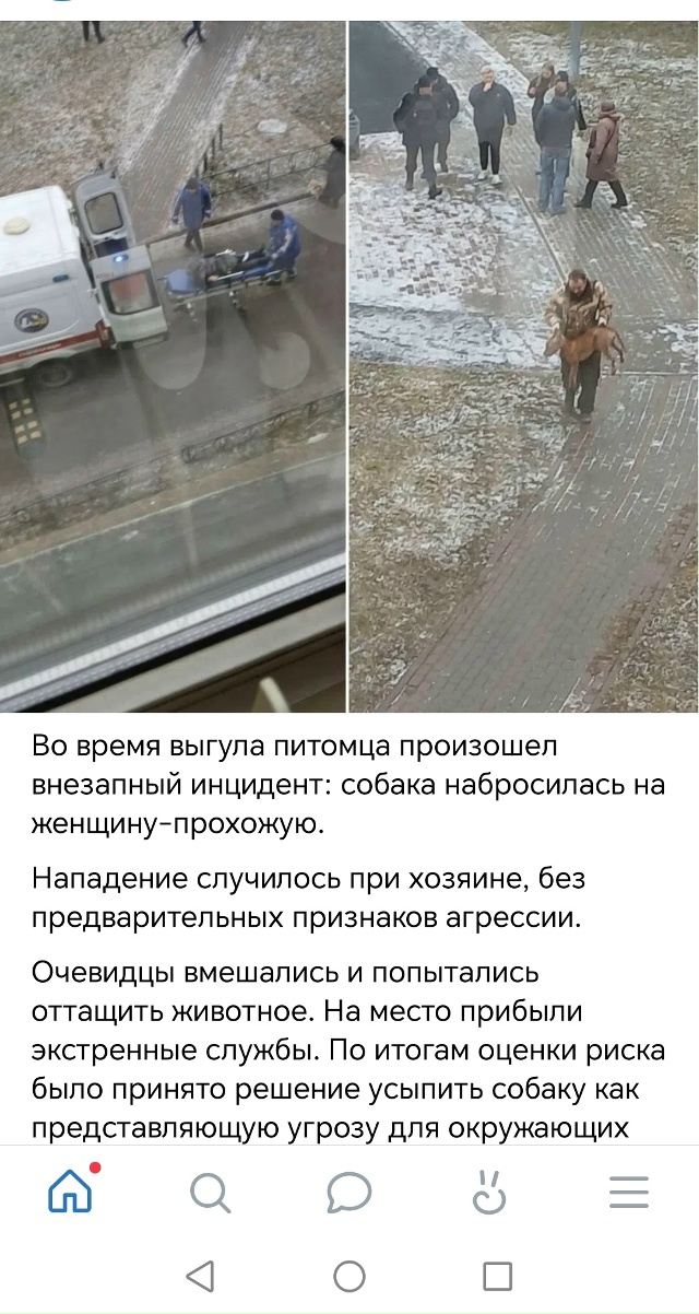 Всегда надо ждать, пока кого-то покалечат, или просто н?...