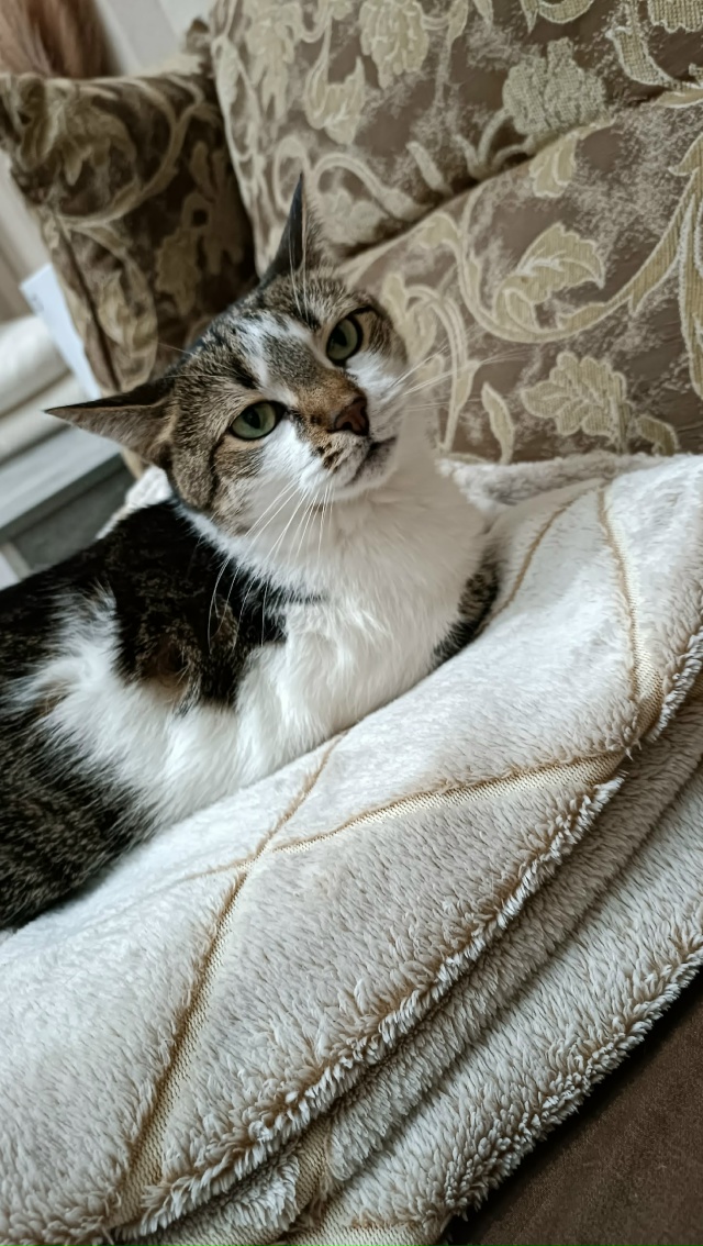 Подпись придумайте сами) 😒
#ЛарисаВячеславовна