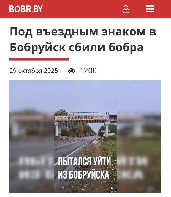Не пытайтесь покинуть Бобруйск.