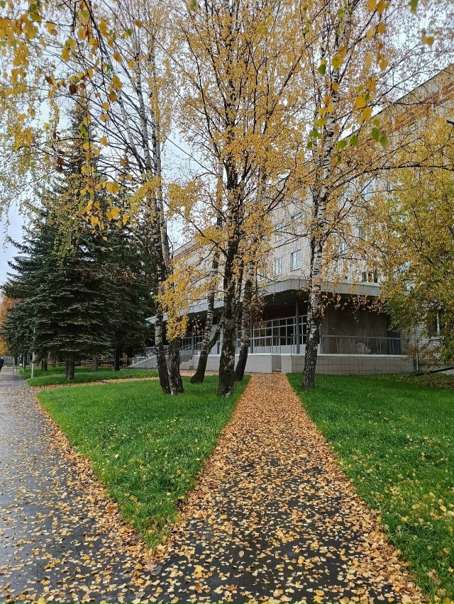 🍂🍁☔ Осенний Ковров