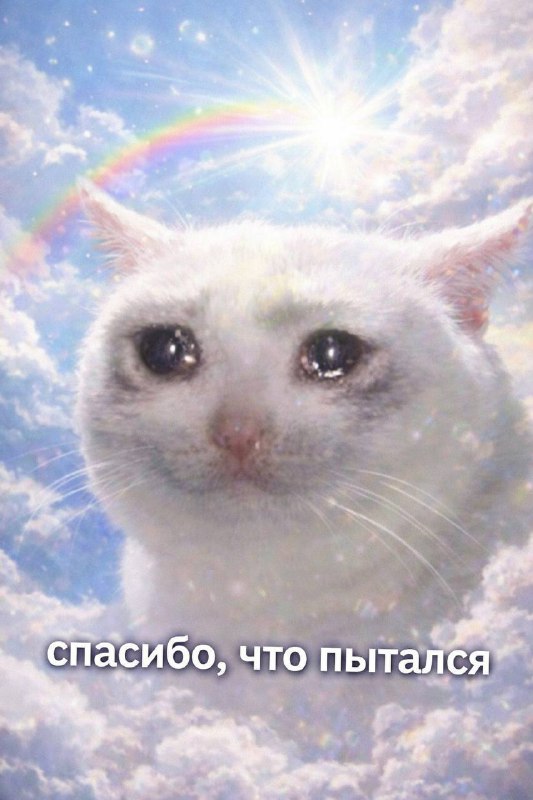 Москвич стал банкротом из-за лечения 19-летнего кота: у питомца диагностировали мочекаменную болезнь