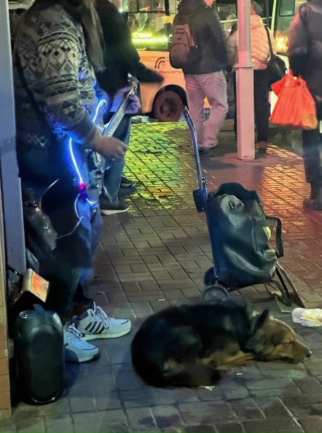 Стоит мужик с гитарой, типа музыкант, а рядом собака ег?...