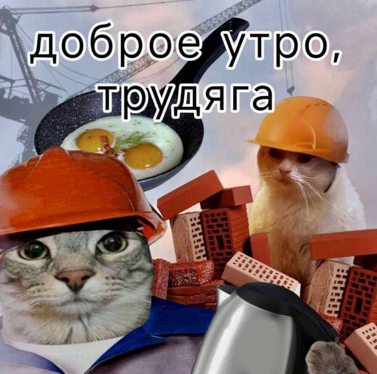 Утренняя подборочка