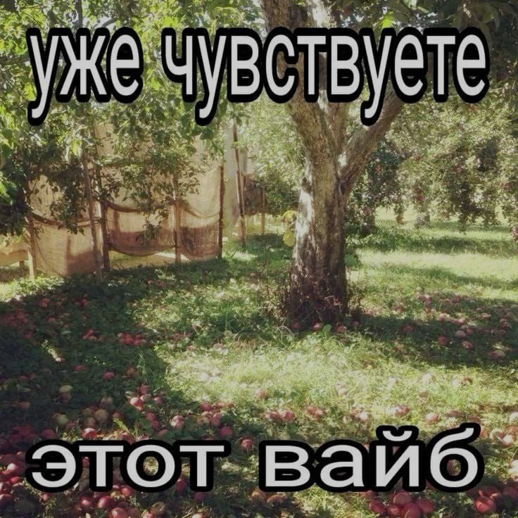 Ночная подборочка
Не спим, готовим салаты