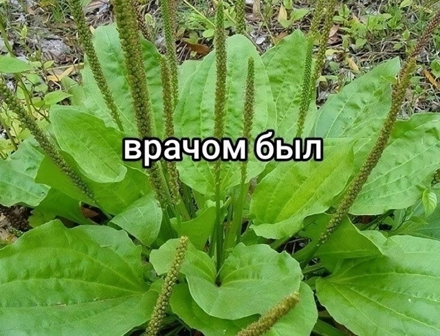 Вот таким было наше детство которое не вернуть... А дети...