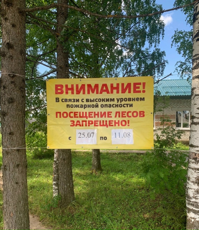 ❗⚡С сегодняшнего дня леса Архангельской области внов...