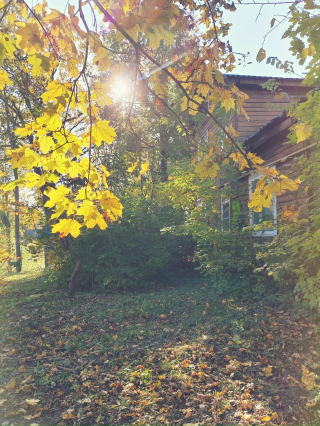 Осенняя Луга🍂