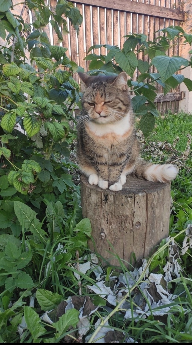 Зина. Ей не нравится, что её фотографируют.