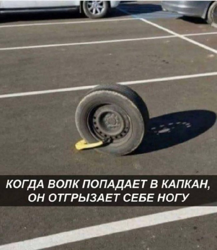 Утренняя подборочка