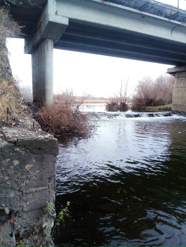 Немного позитива в ленту.На снимках,октябрь 2025 года,на ...