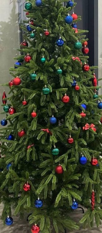 «Елку мы никуда убирать не будем, и точка!». Убрать новогоднюю елку из подъезда потребовал житель мо