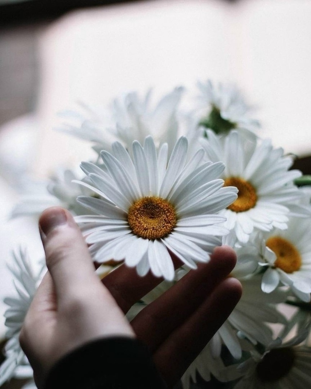 забудь все плохое.
начни с чистого листа.