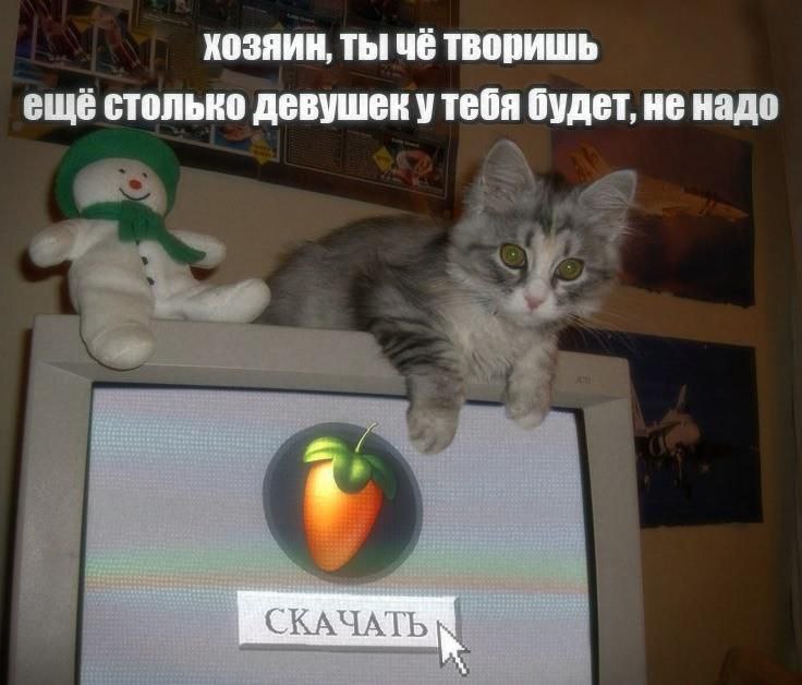 Утренняя подборочка